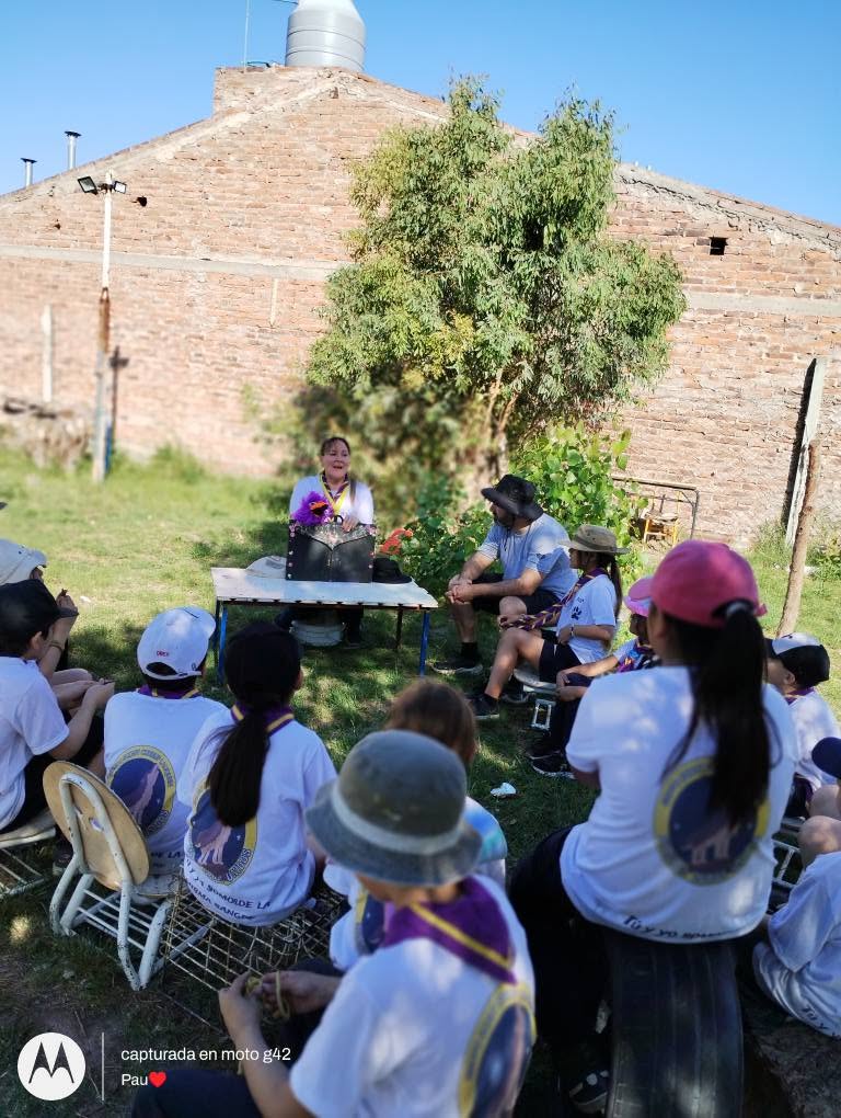 Manada en actividad al aire libre